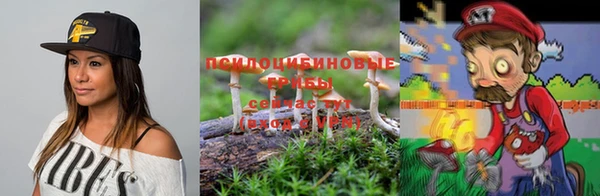 стафф Киренск