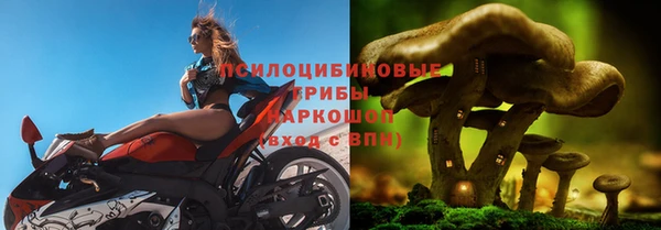 тгк Кинешма