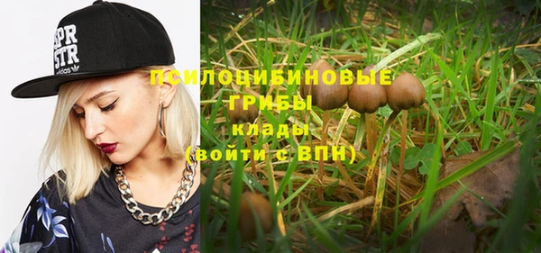 стафф Киренск