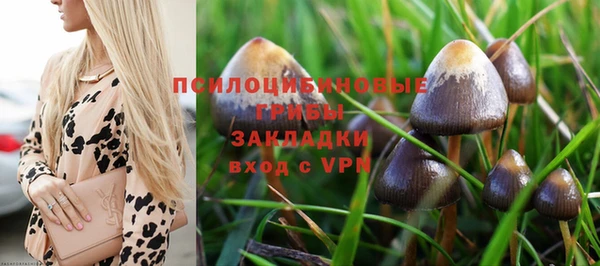 PSILOCYBIN Киреевск
