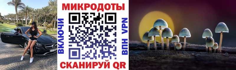 Галлюциногенные грибы прущие грибы  Купить закладки  Кудрово 